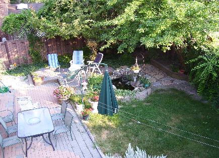 Back garden