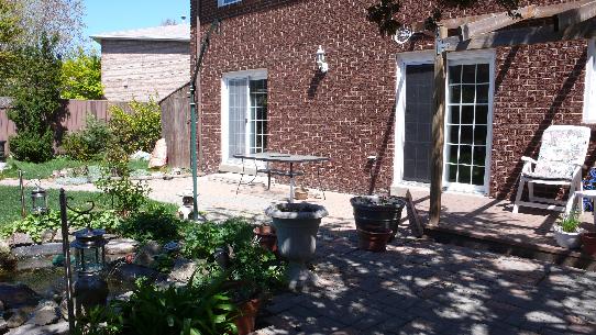 Garden with fish pond