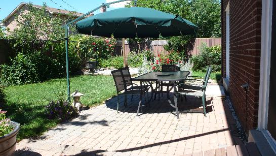 Sittibg area in the back garden